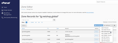 Create a CAA DNS Record in cPanel - Step 3