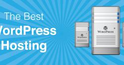Why Businesses Need WordPress Hosting