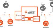 Why Choose Magento Hosting for Business