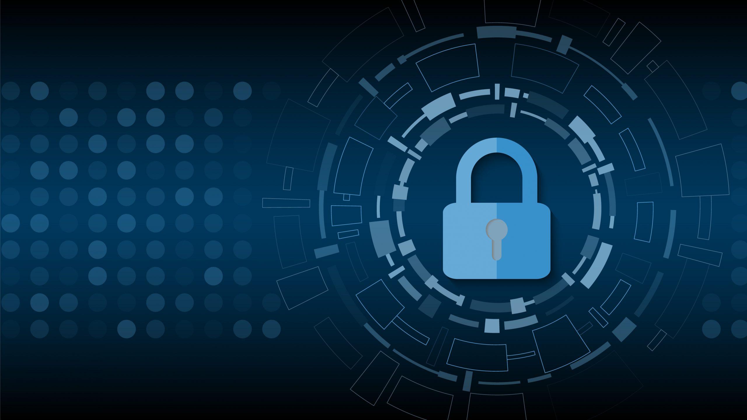 Cyber Security: Protection and Marketing Advantage