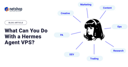What Can You Do With a Hermes Agent VPS? - NetShop ISP Blog